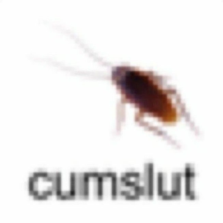 u168434762 banner image