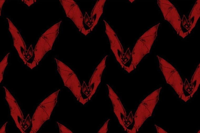 KillaninjafuxX banner image