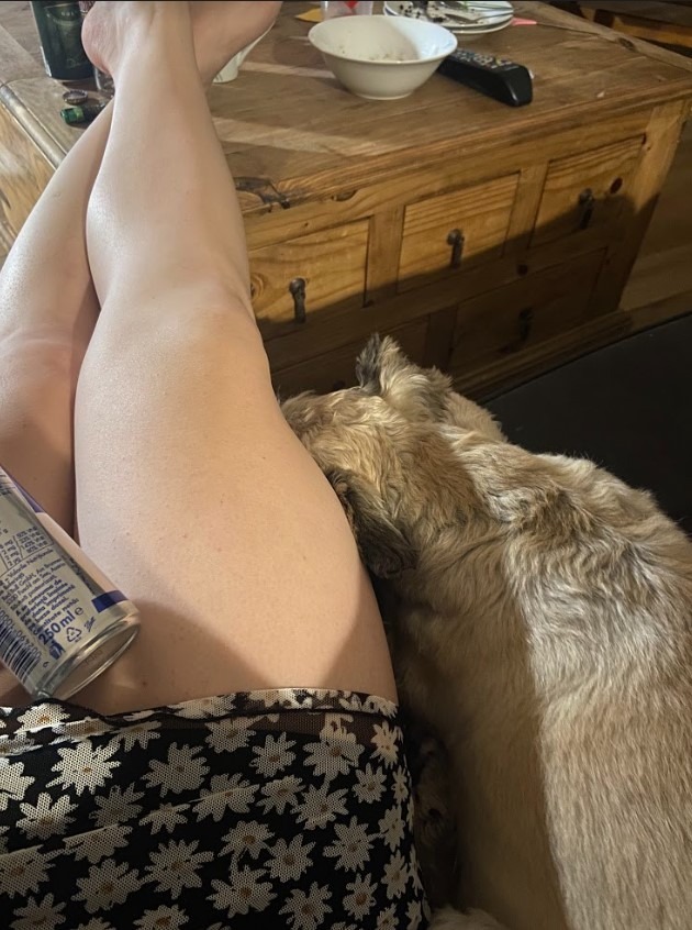 Lili banner image
