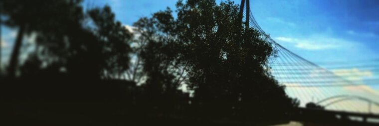 Uly banner image