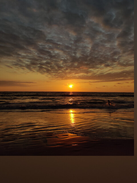 S. cover image
