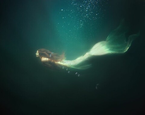 Undine d'Aqua cover image
