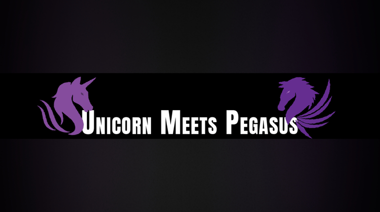 UnicornMeetsPegasus banner image