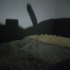 Unknown-cock avatar