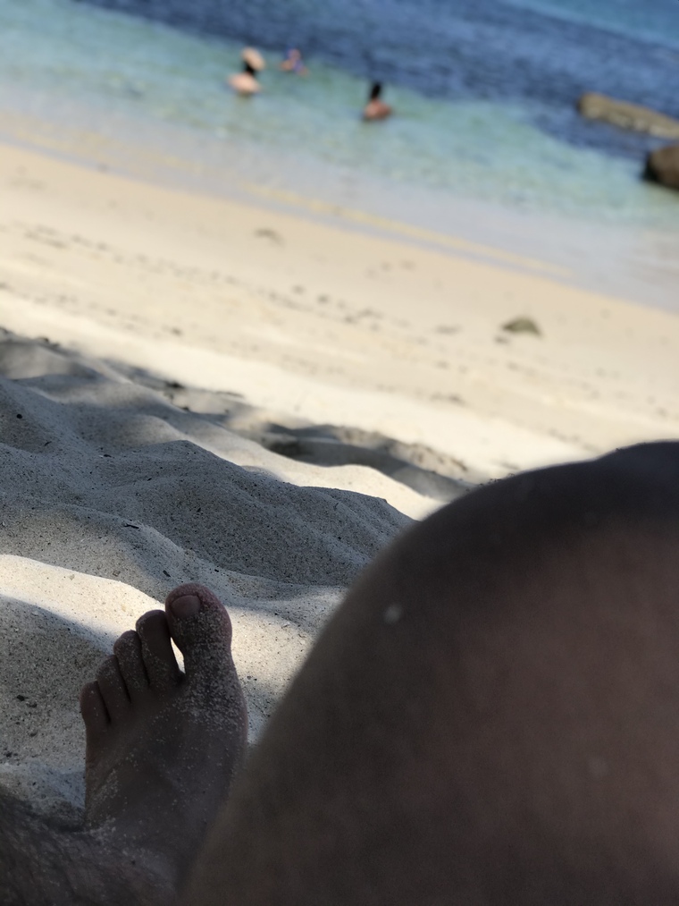 Un sabio muy joven banner image