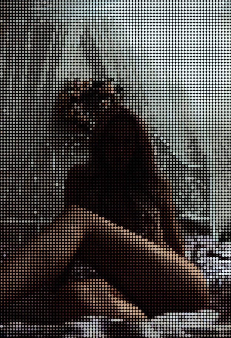 Unscrambled Nudes cover image