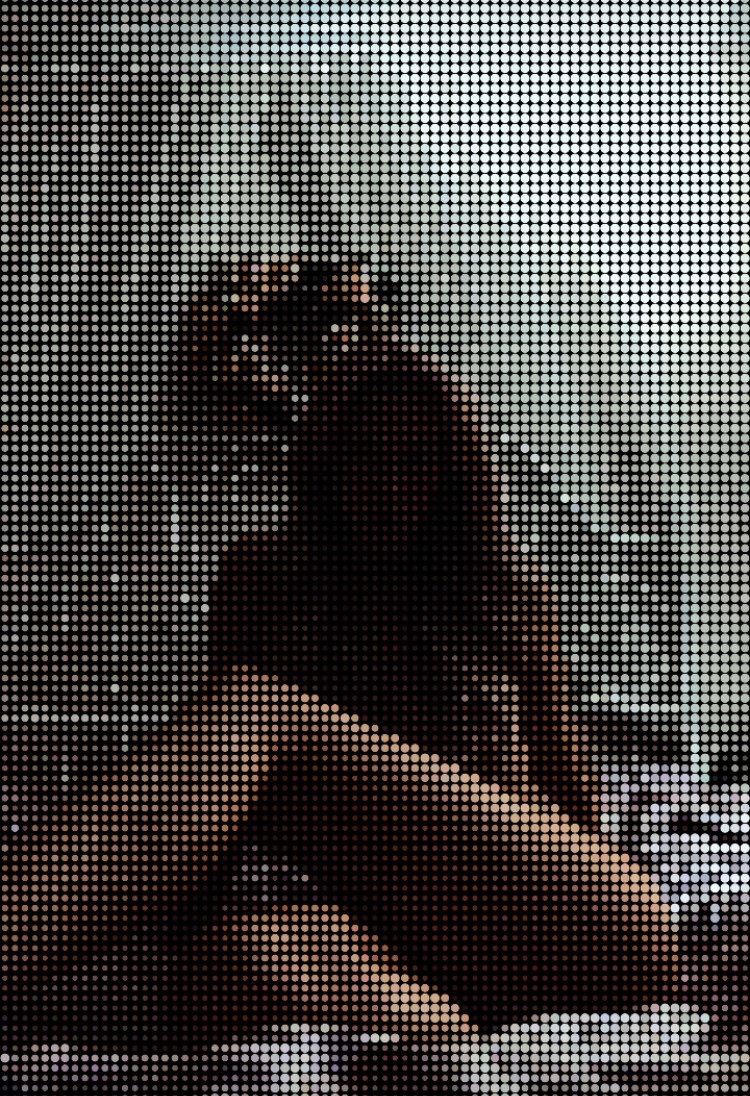 Unscrambled Nudes banner image