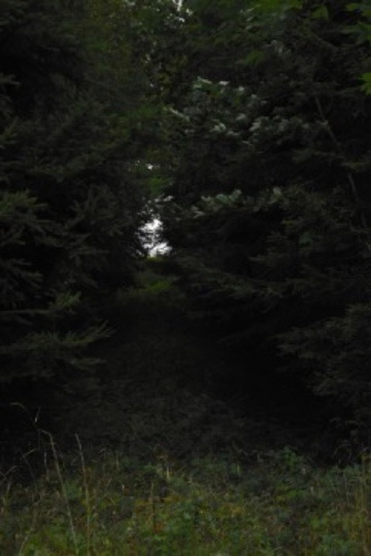 Upe_z101 cover image
