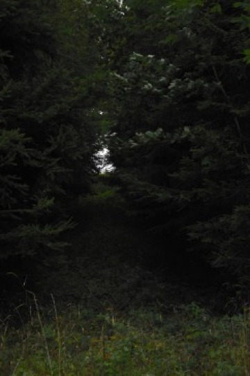 Upe_z101 banner image