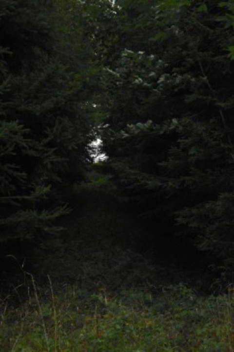 Upe_z101 cover image