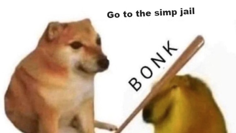 Pims banner image