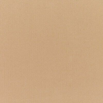 Bambi banner image