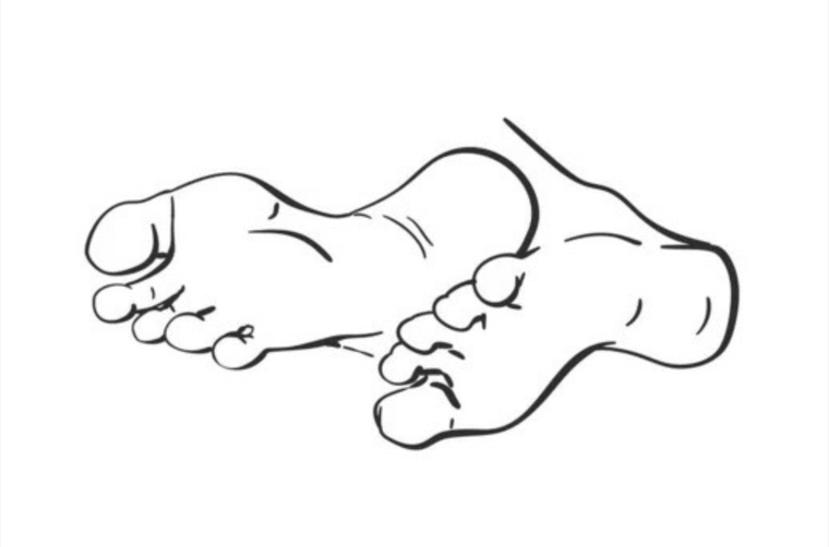 Happy Feet banner image