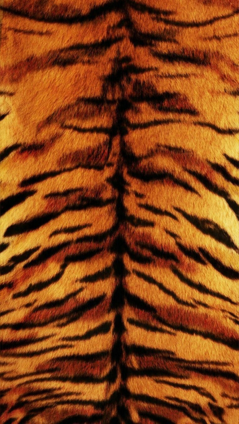 gigi <33 banner image