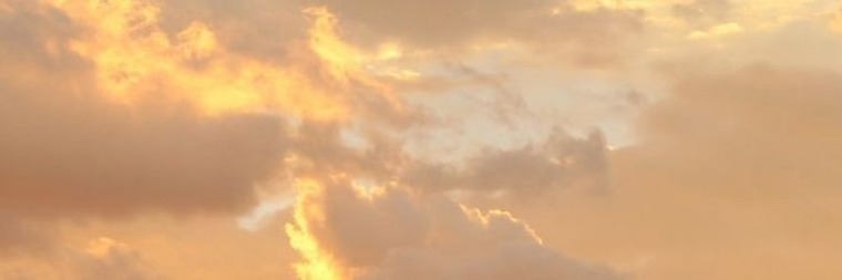 Carmen banner image