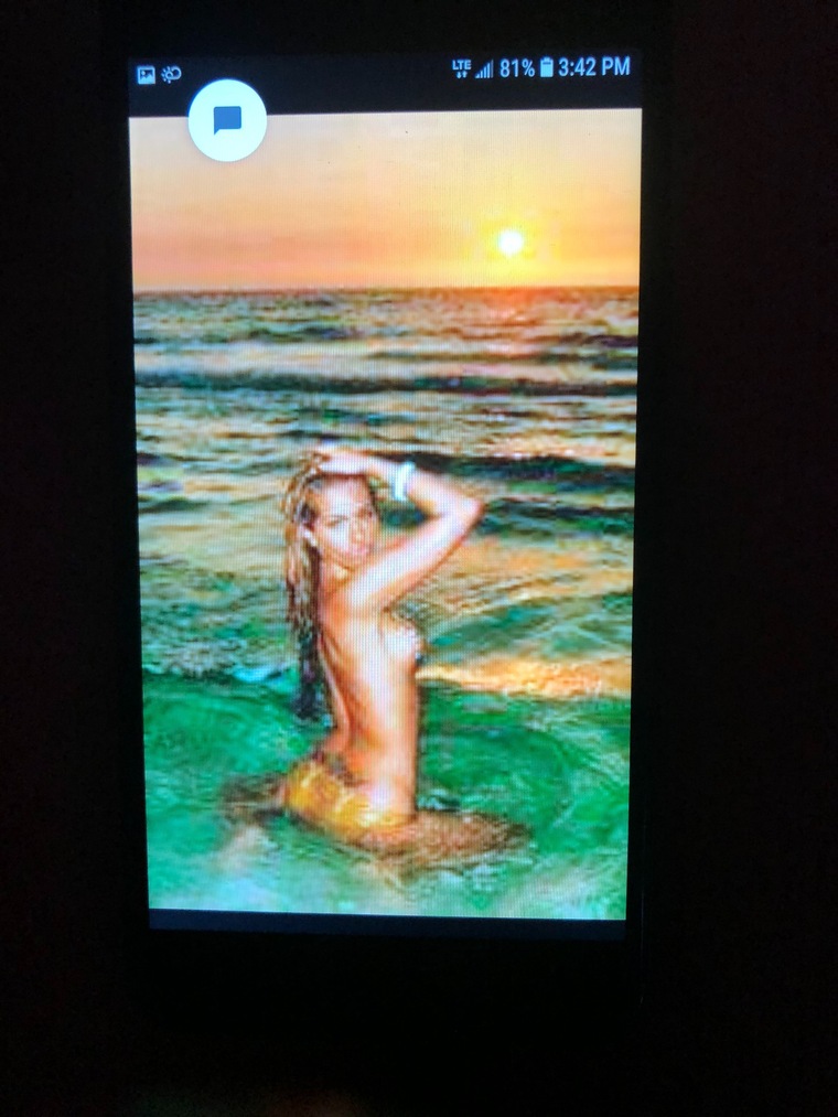 Janie Wilton cover image