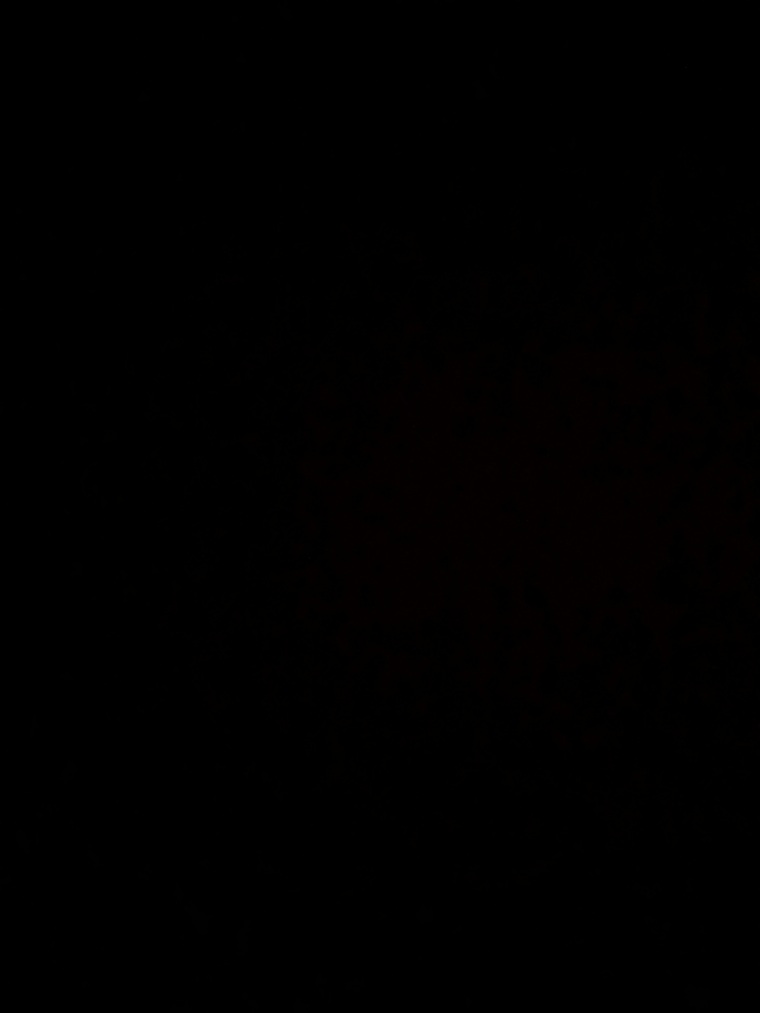 u131809653 cover image