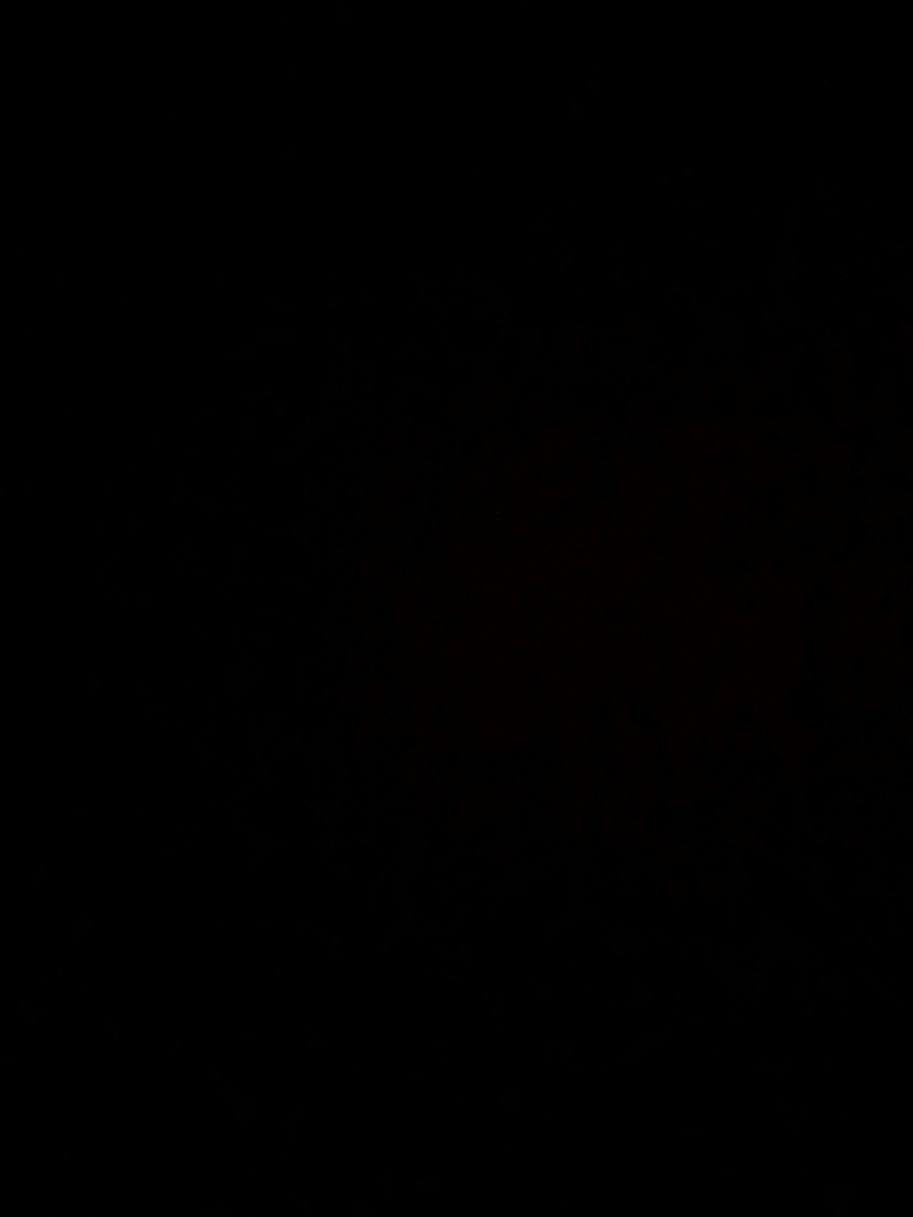 u131809653 banner image