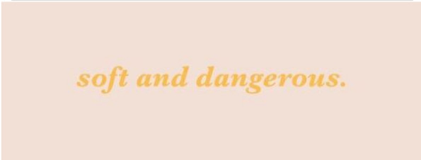Ginger banner image