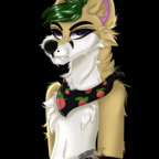 uwu_comet avatar