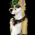 uwu_comet avatar
