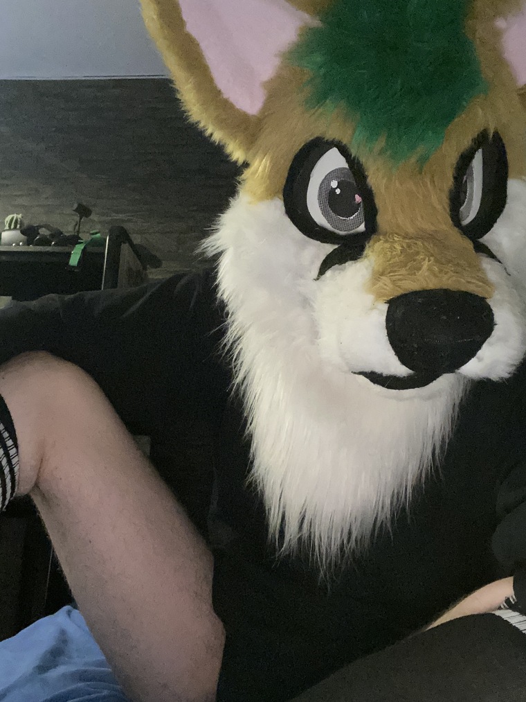 uwu_comet banner image