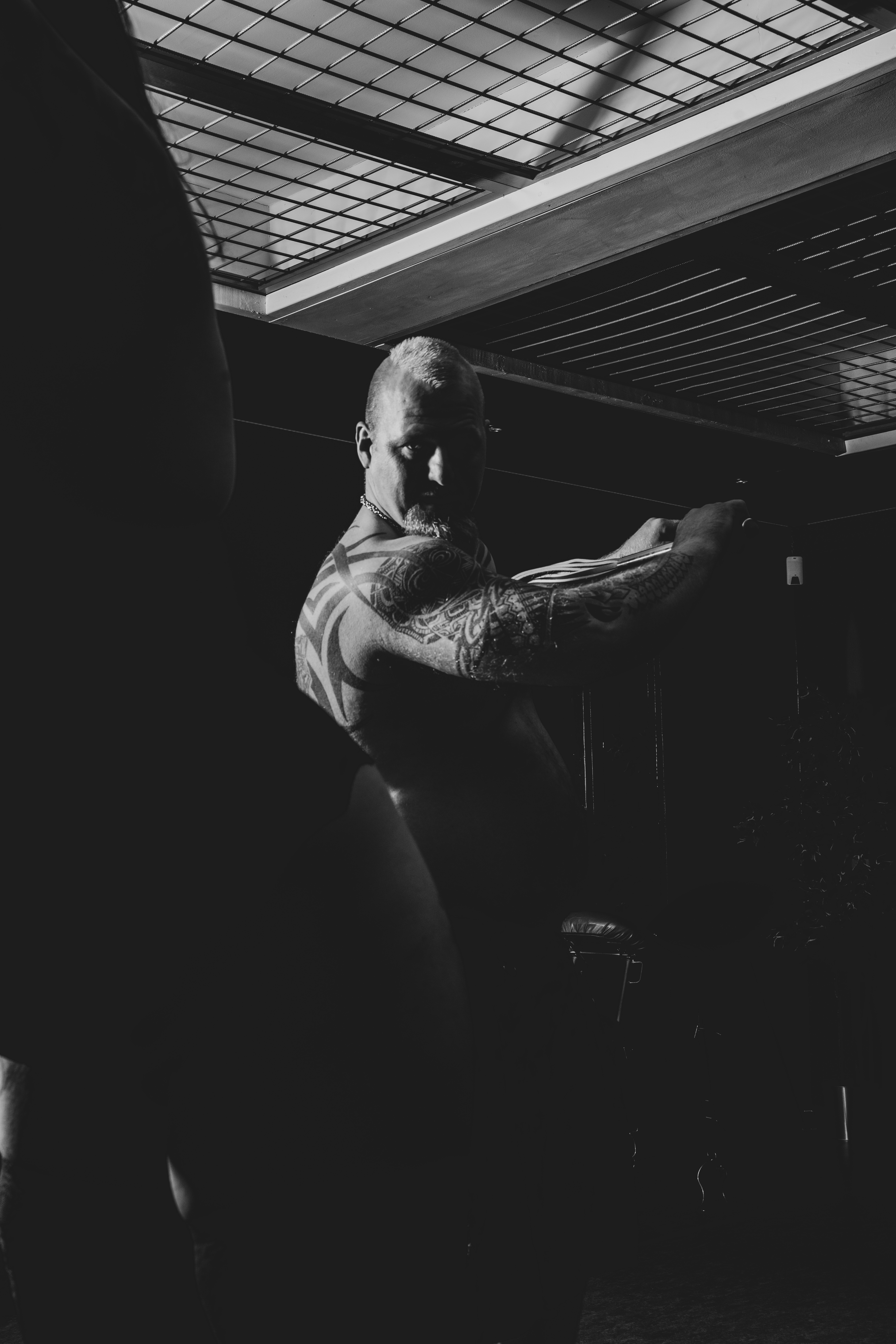Vikingen banner image