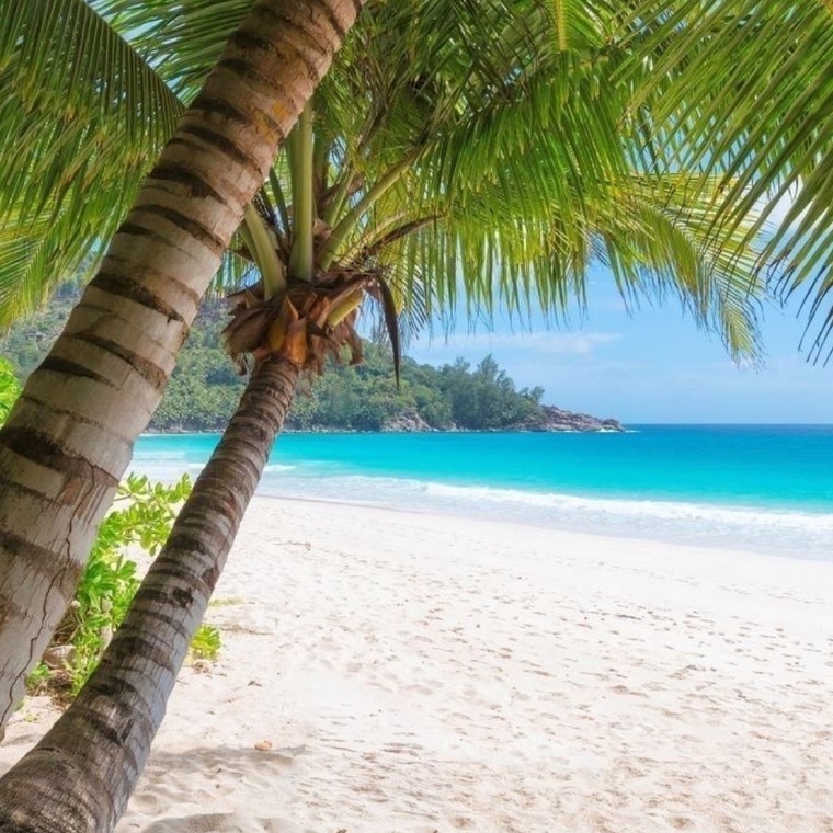Vahine Tahiti banner image