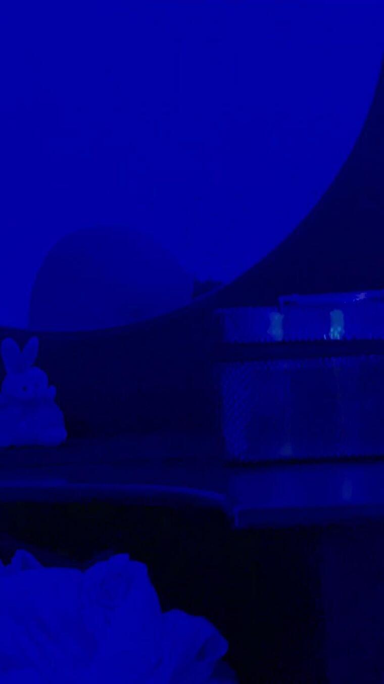 Valentina cover image