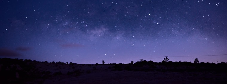 Valeria Flores banner image
