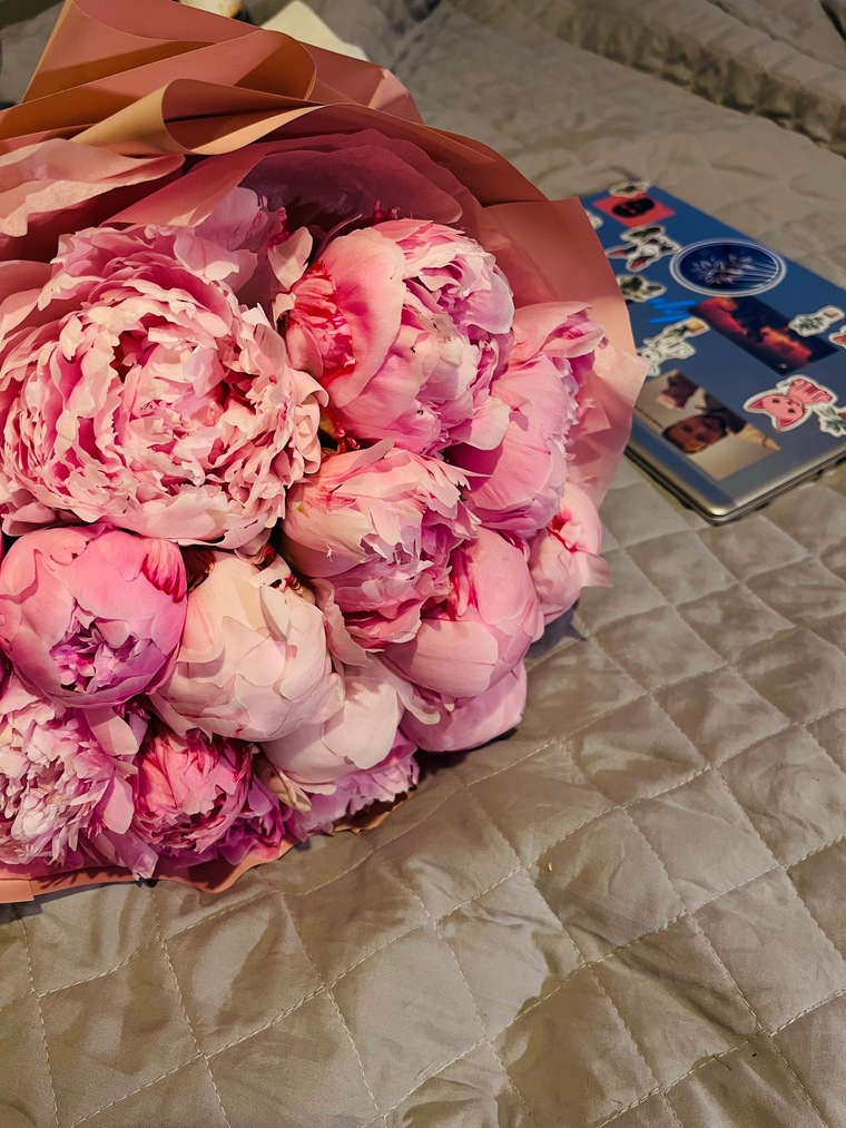 V 🌸 cover image