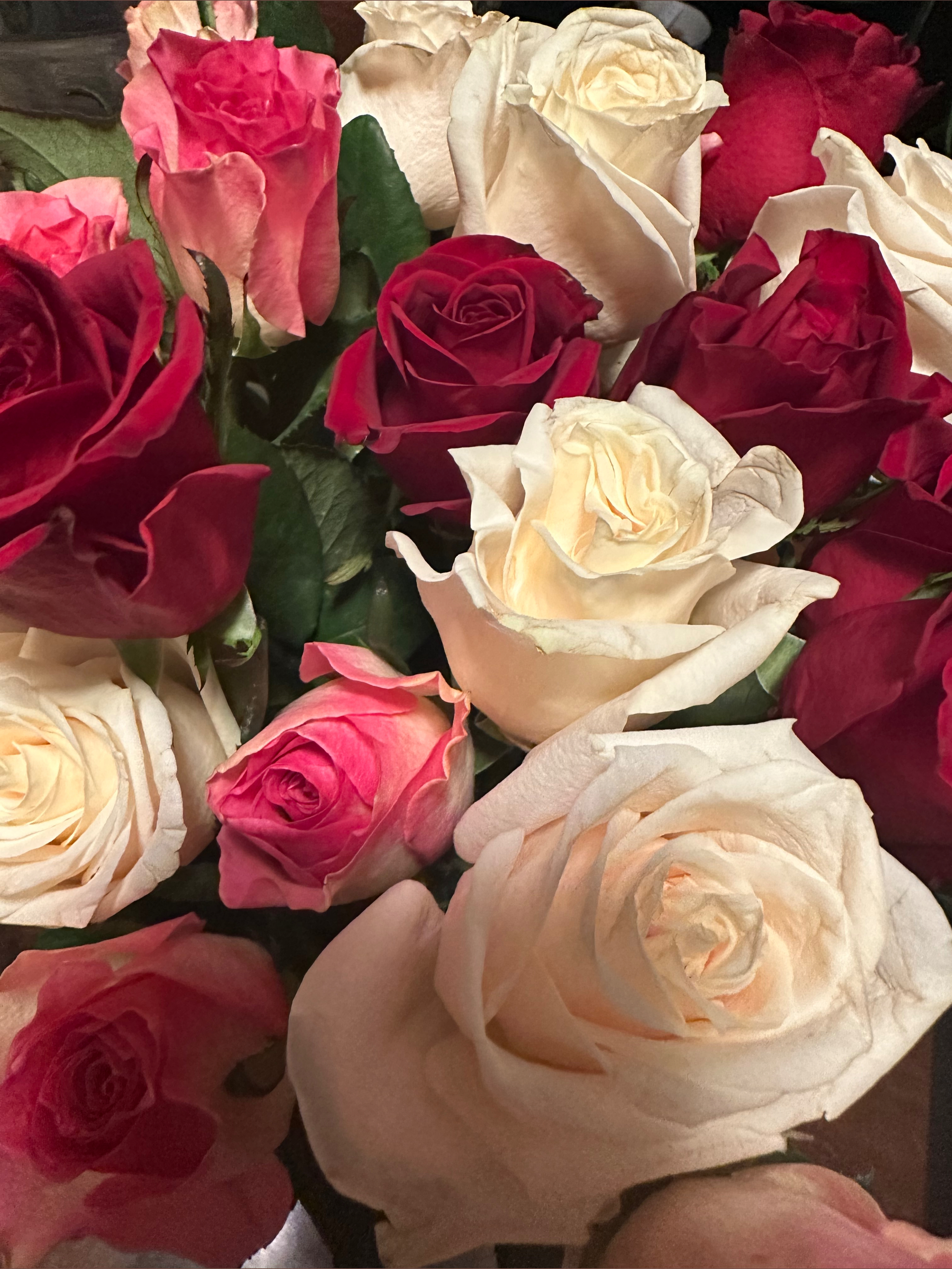 Valienrosexxx banner image