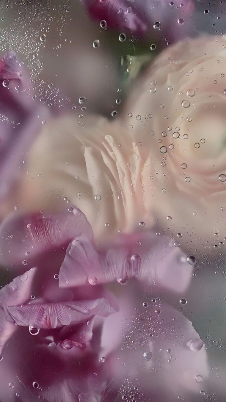 ValerySassy cover image