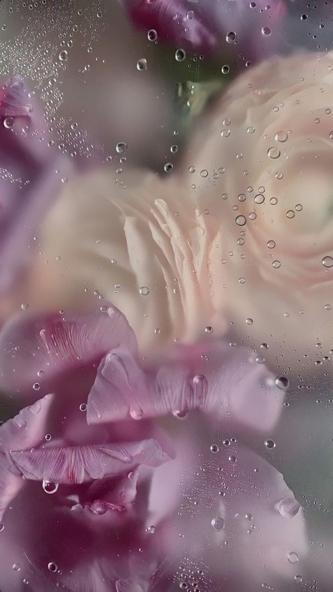 ValerySassy cover image