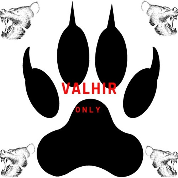 VALHIR cover image