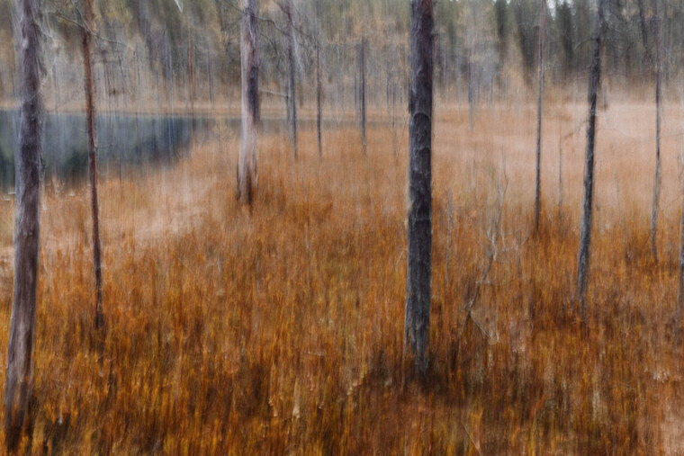 Valtteri Hirvonen cover image
