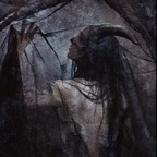 🦇 avatar