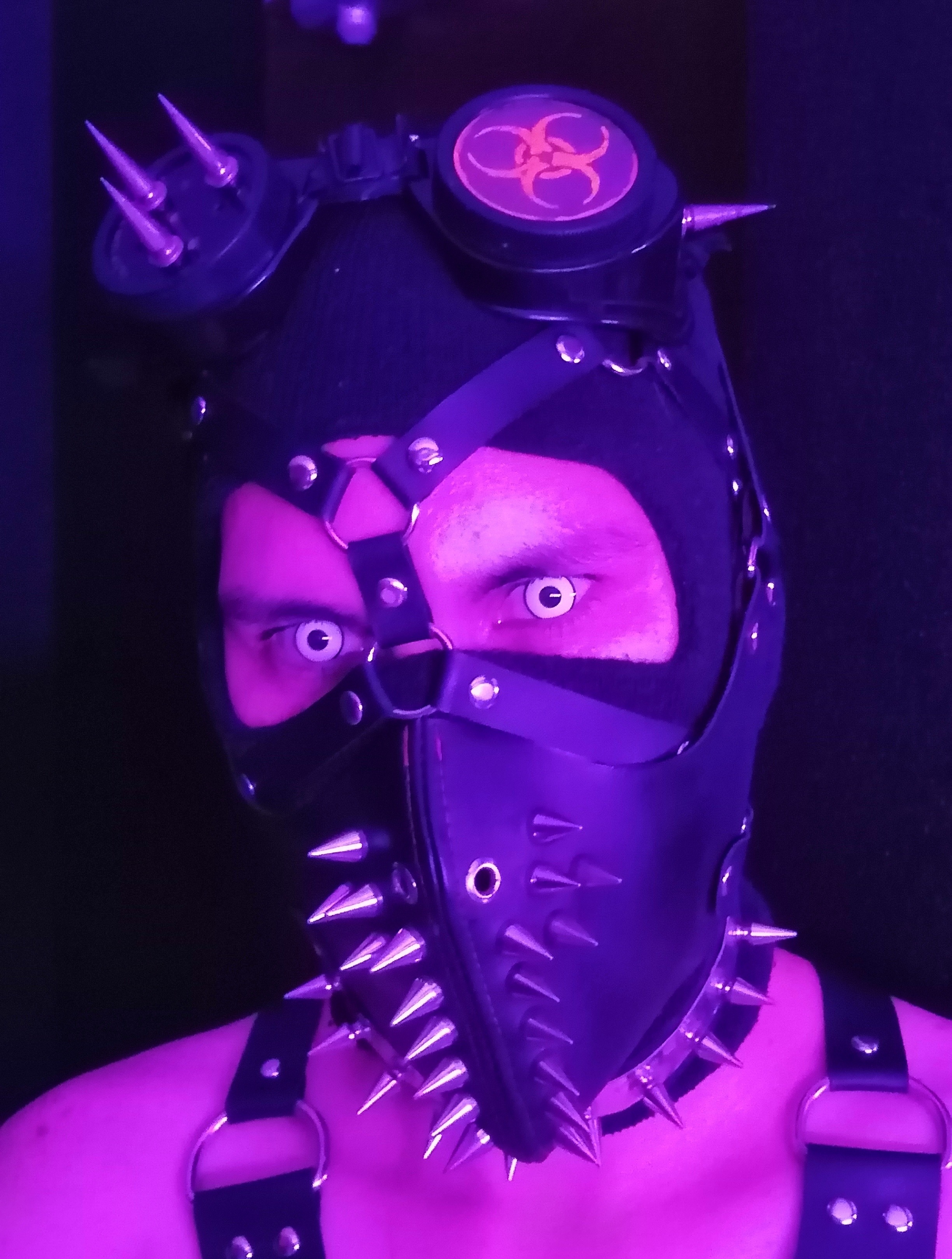 VampDom banner image