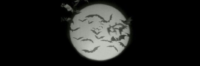 VampiressCirice cover image
