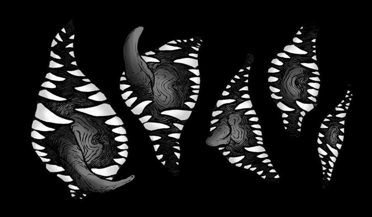 vandal. ♡ cover image
