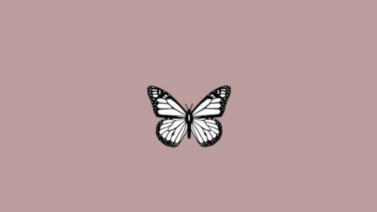 Vanesa Villalobos cover image