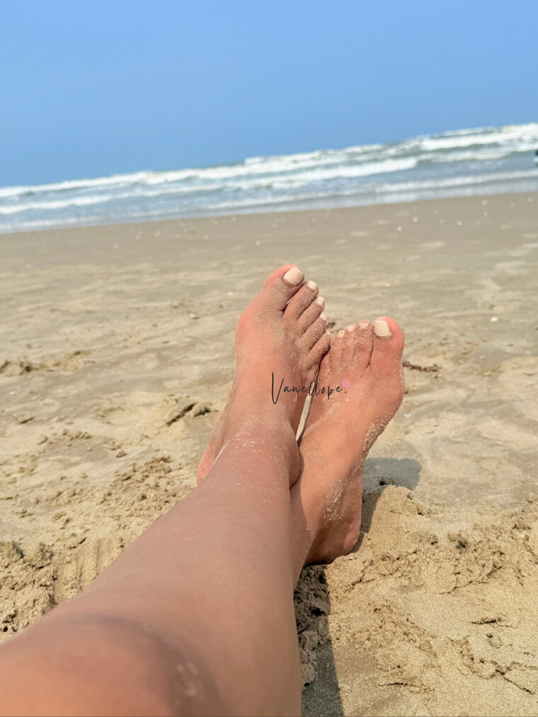 Vanellope VM. cover image