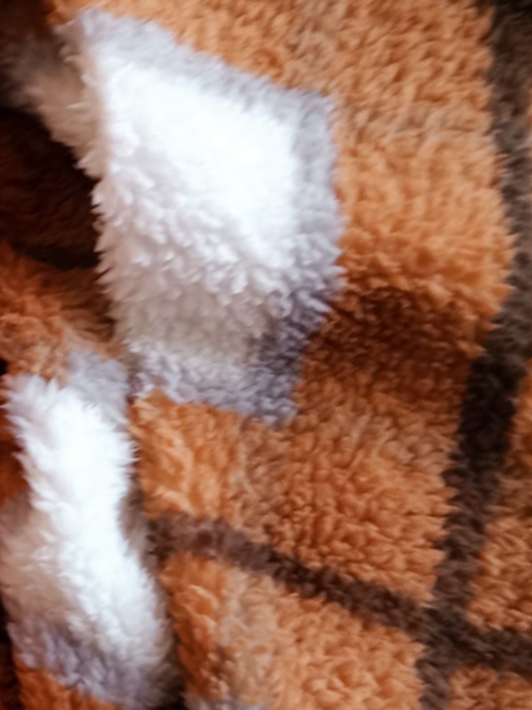 BRUNETTE V.F🔥 banner image