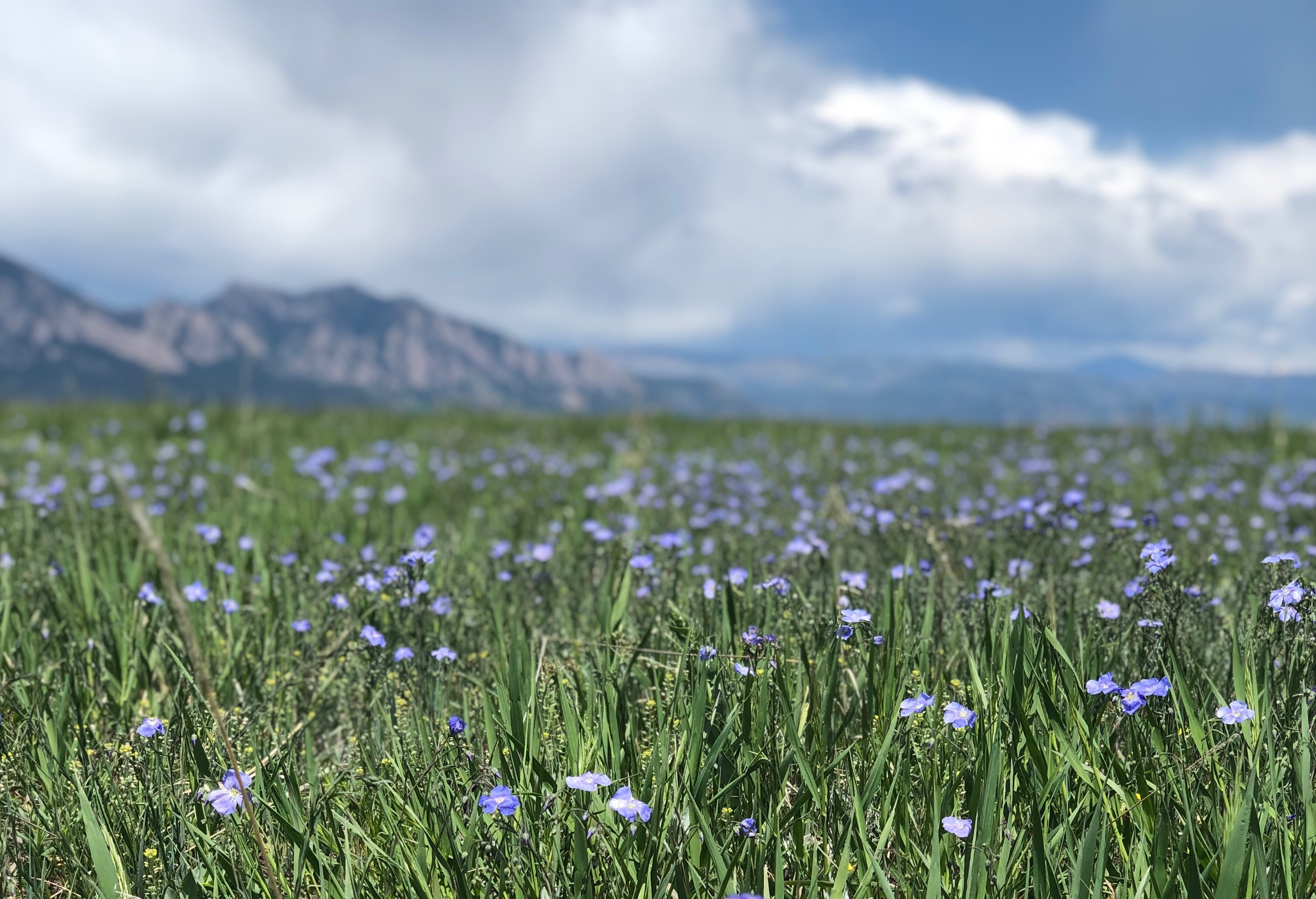 Vanessa Bloome banner image