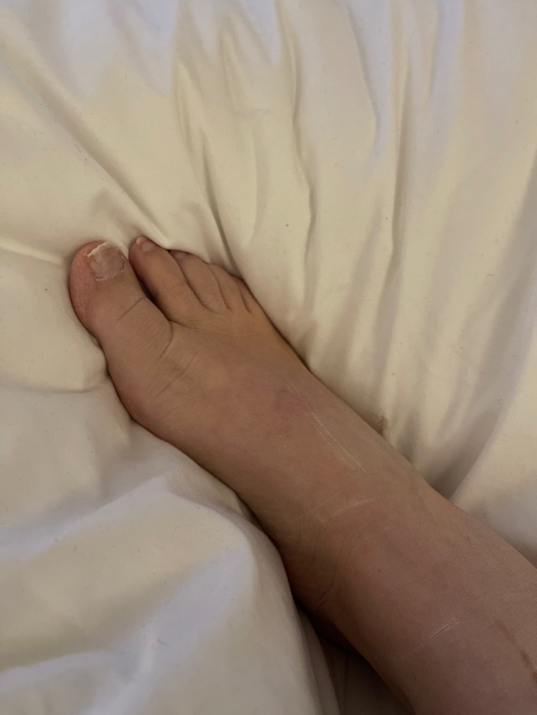 Vanessatulip banner image