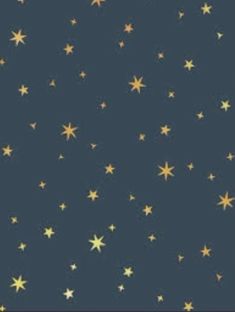 Vanessa cover image