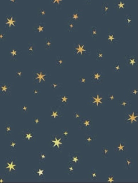 Vanessa cover image