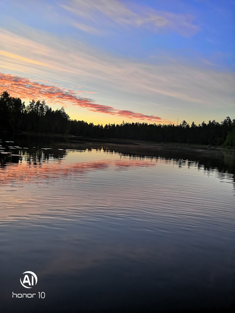 Vanhvi cover image