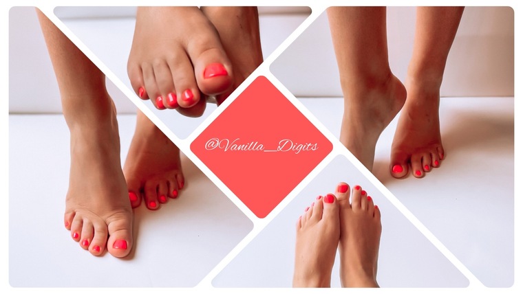 Taylor banner image