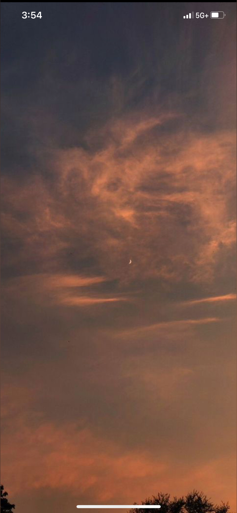 Vane_ cover image